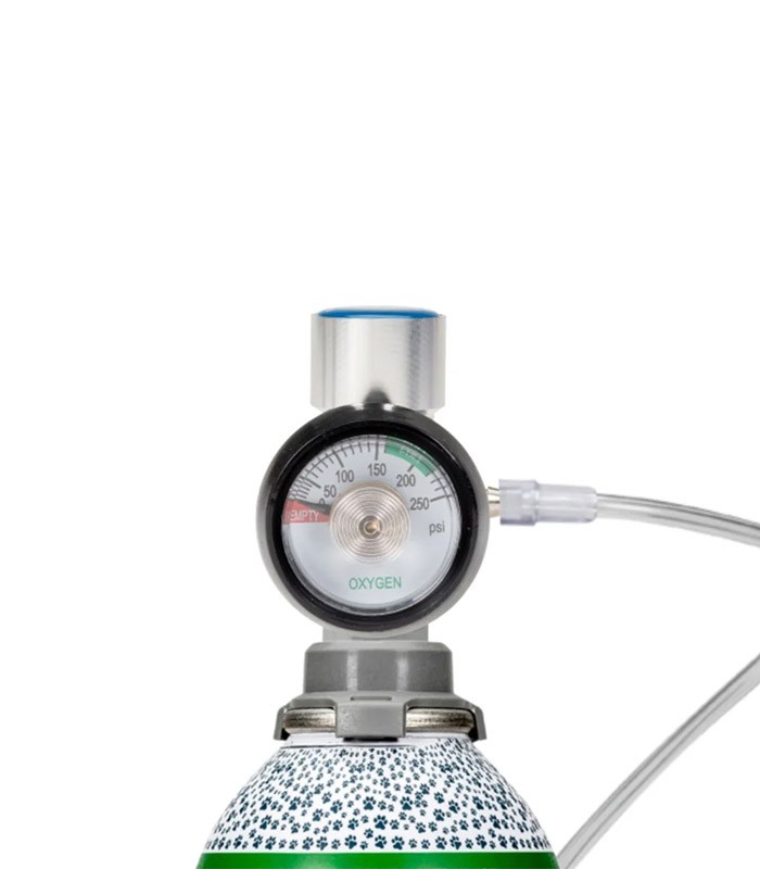 Sauerstoff-Flussregler für Tiere - PawPrint